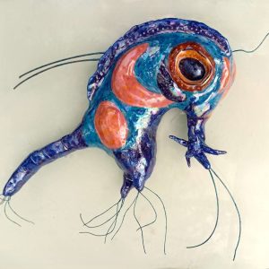 Plankton - Green Crab larva