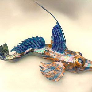 Male Dragonet in mating display