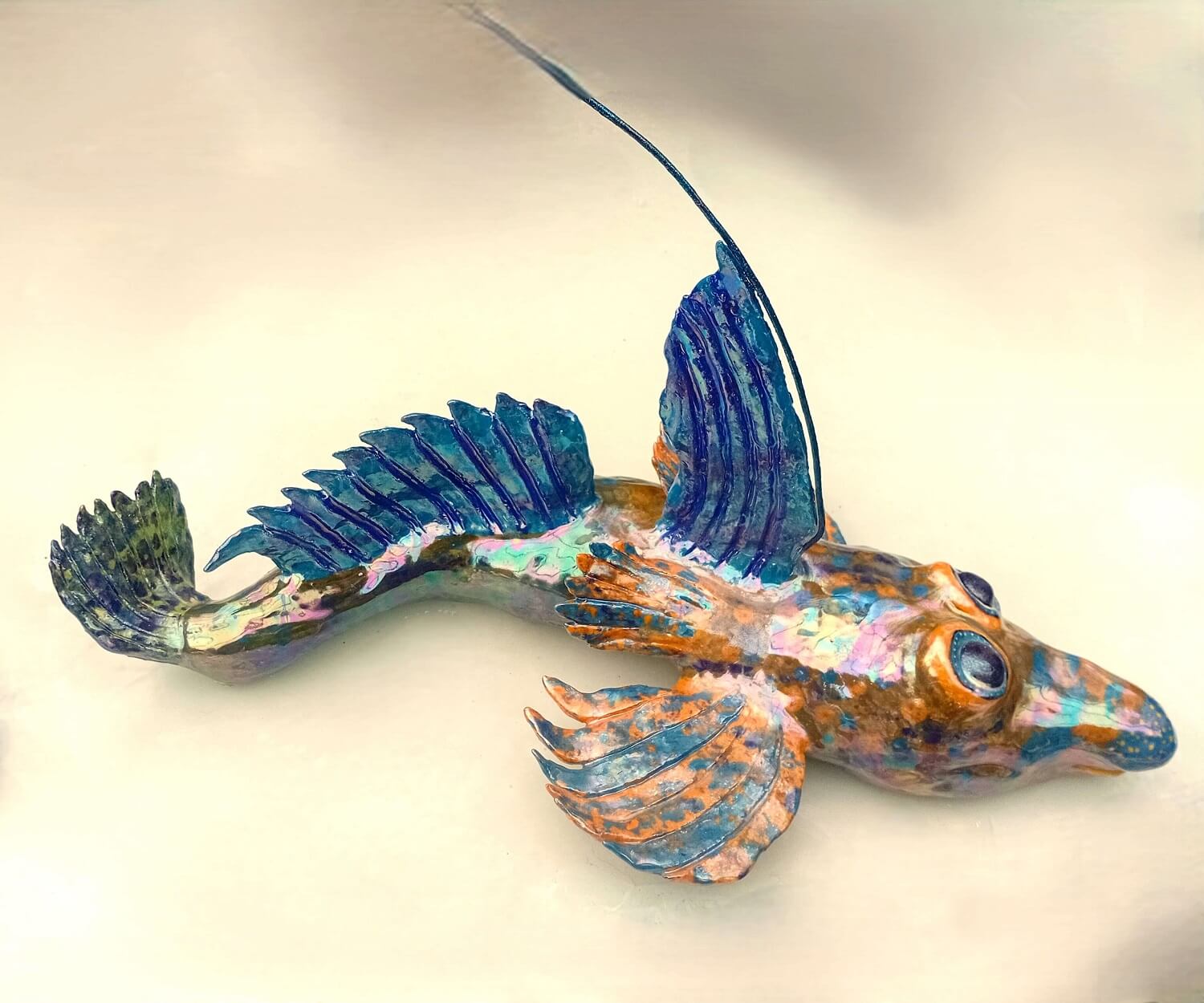 Male Dragonet in mating display
