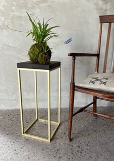 Wooden & Brass Plant Stand