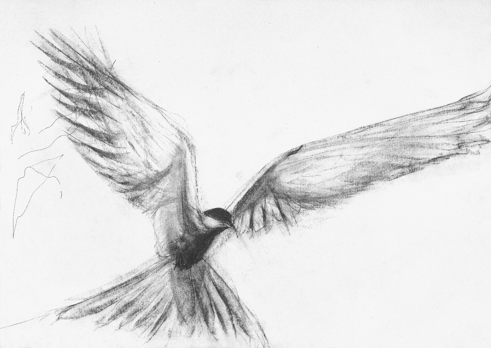 Tern